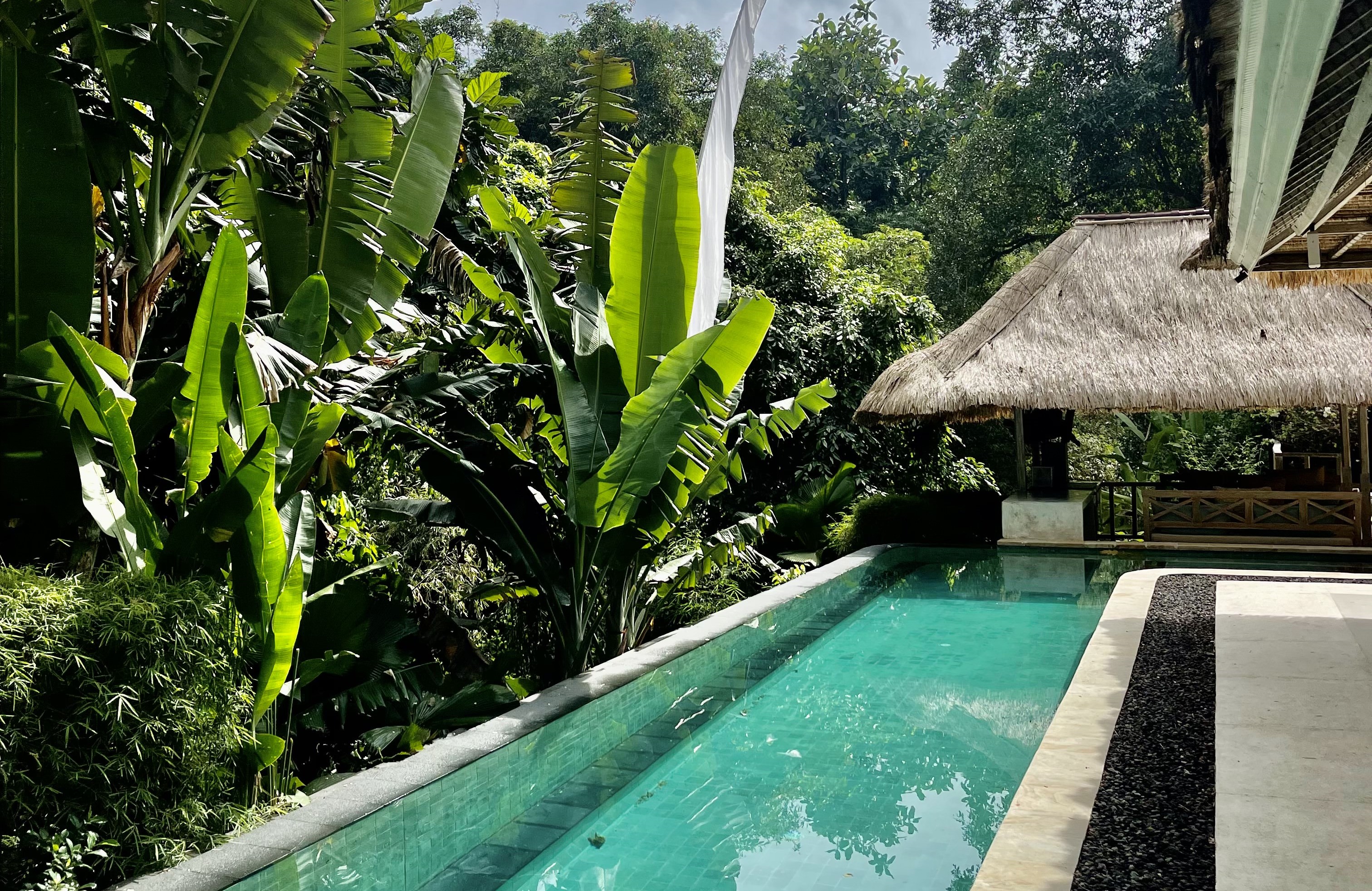 Bali door Trip Advisor uitgeroepen tot nummer 2 van meest populaire toeristische bestemmingen: een gouden kans voor investeerders om duurzaam toerisme te ondersteunen